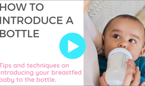 introducing a bottle to baby