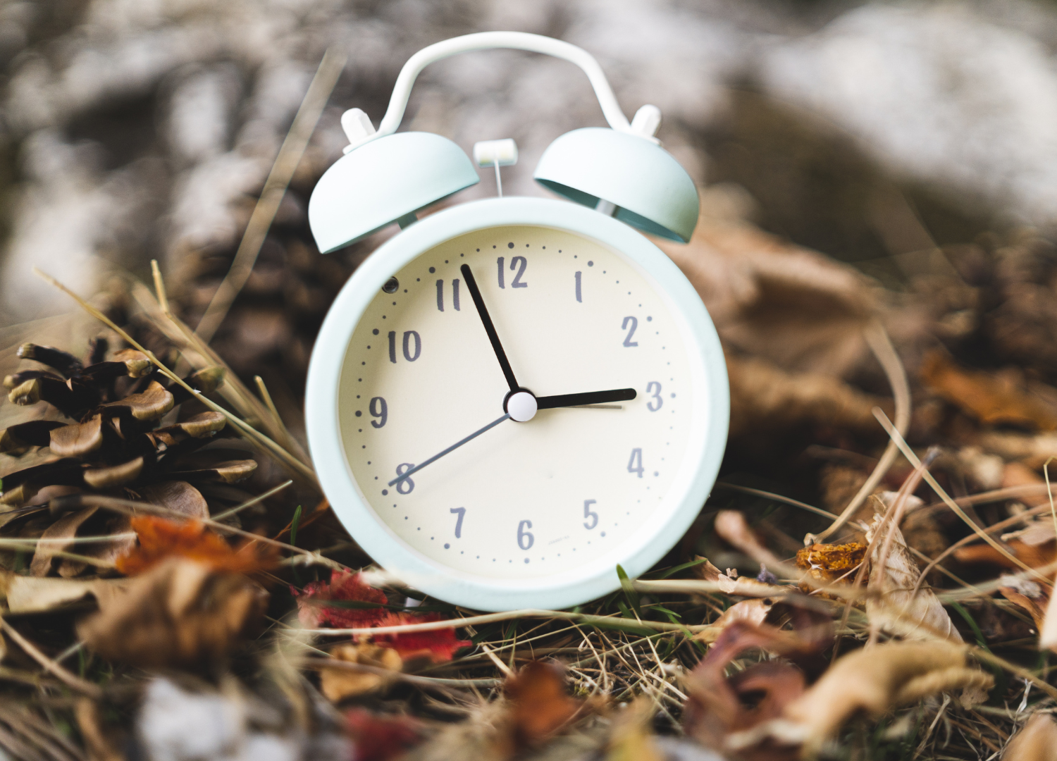 How To Help Your Baby Adjust To Daylight Saving Time