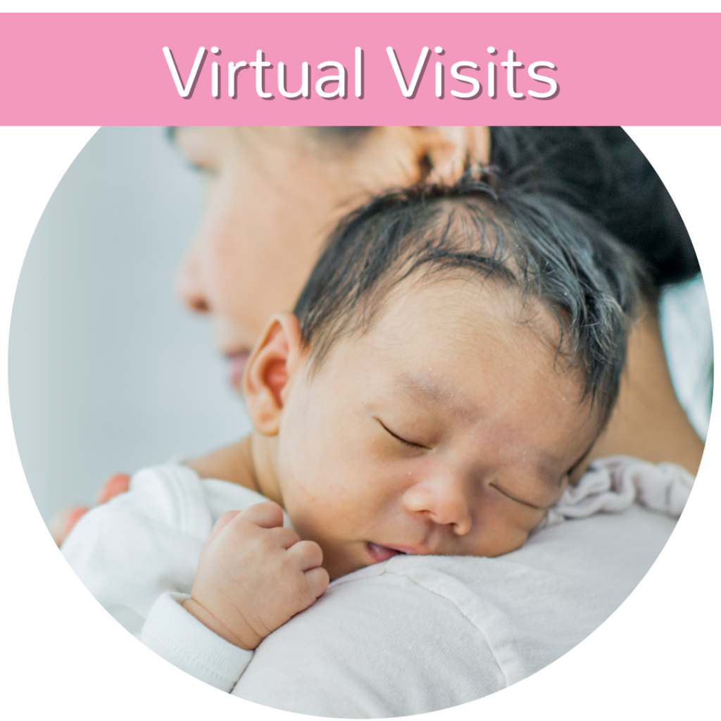 Virtual Lactation Consultant Visits